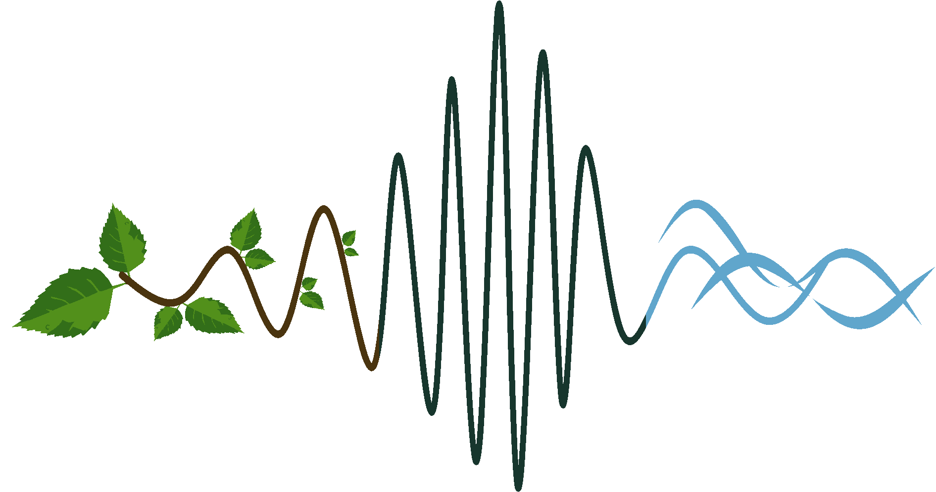 International Society for Ecoacoustics